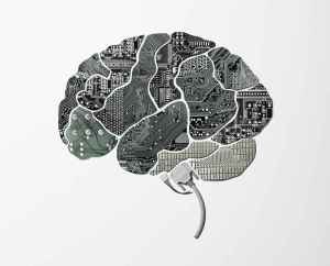 the_human_brain_project